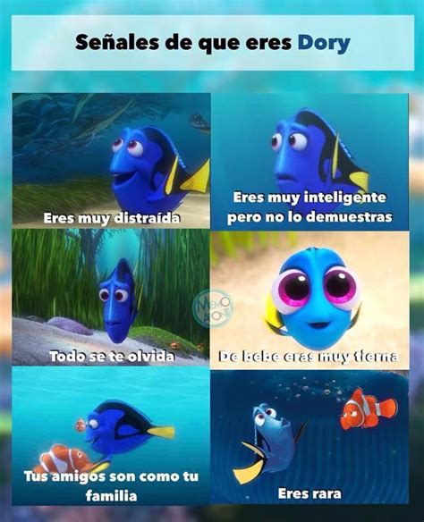 memes de dori|funny dory memes.